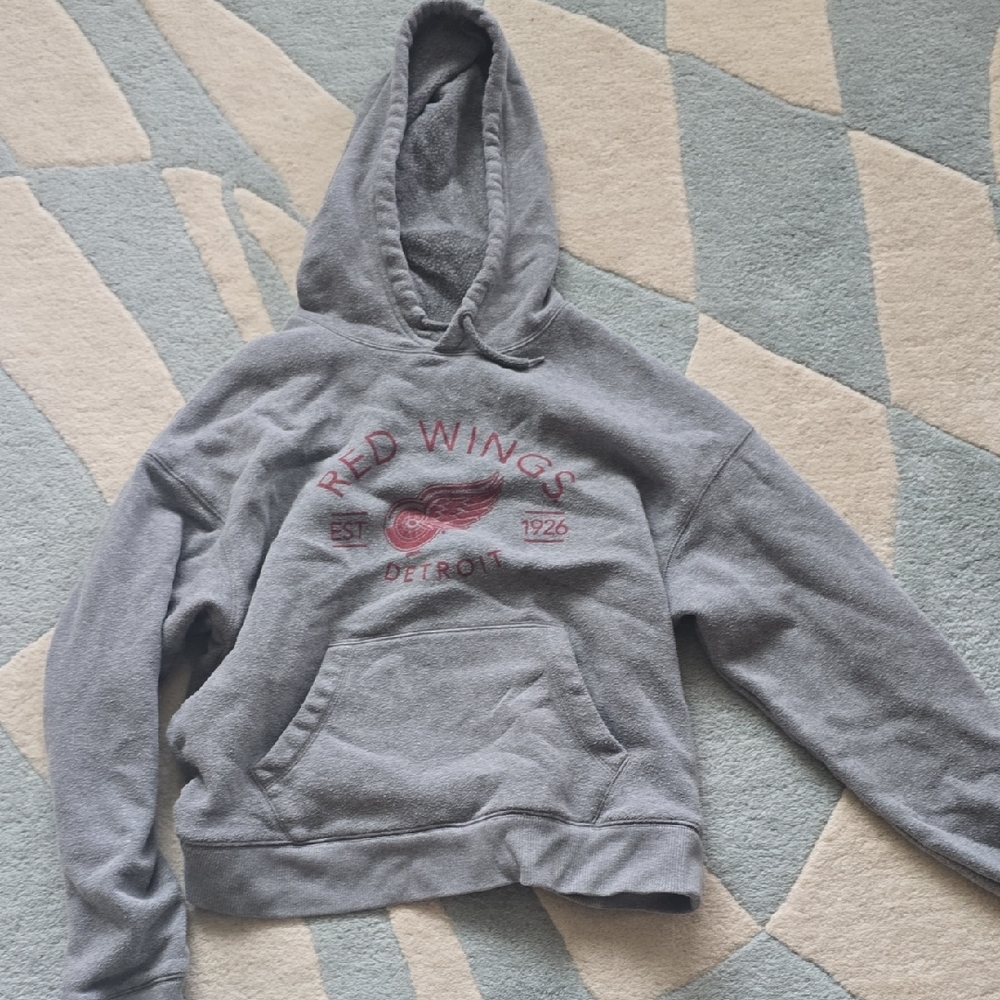 Champion Gray Red Wings Women's Hoodie